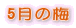 5���̔~
