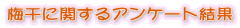 �~���Ɋւ���A���P�[�g����
