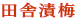 田舎漬梅